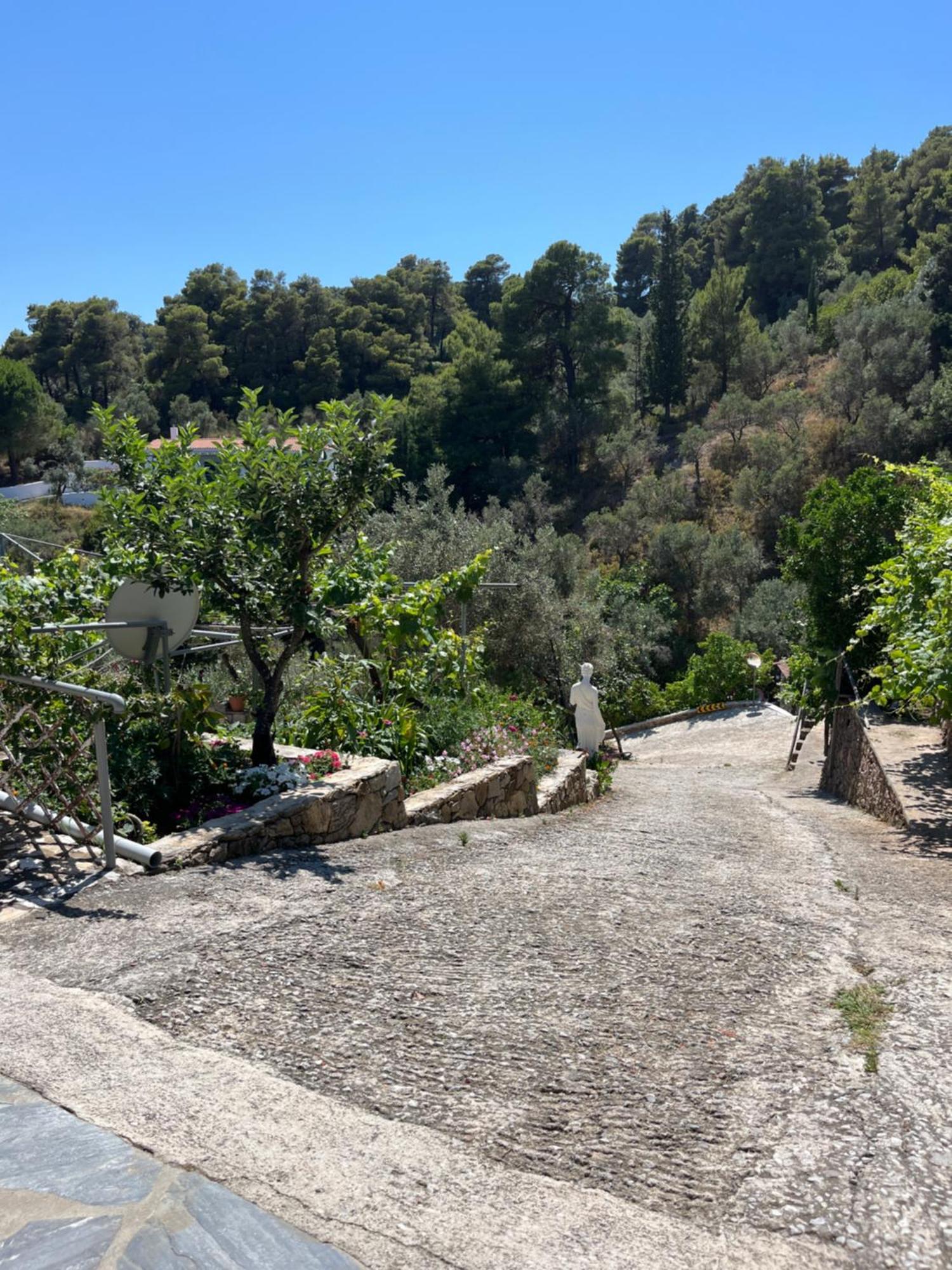 Andreas Village Vasilias (Skiathos) Exterior foto
